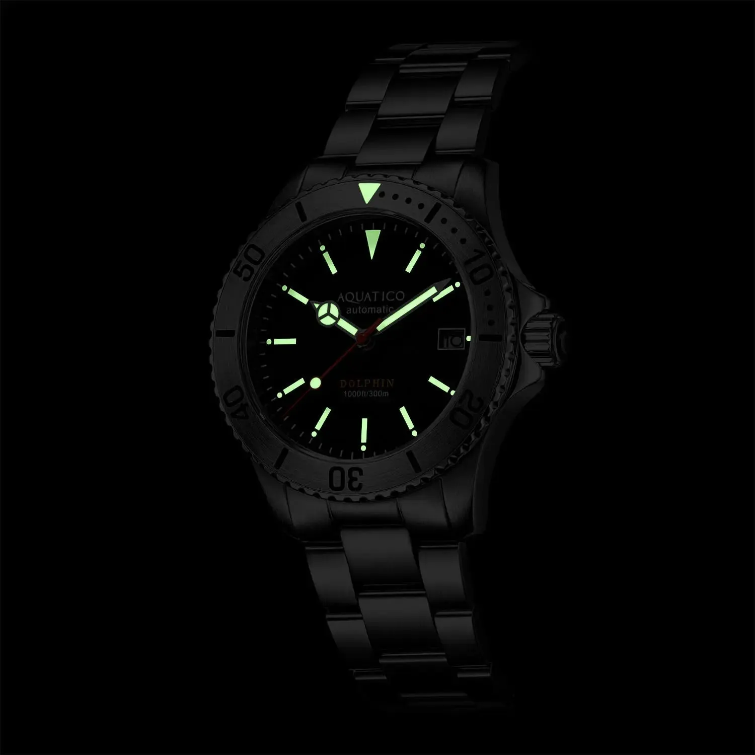 Aquatico Dolphin 38mm Dive Watch Blue Dial (NH35)