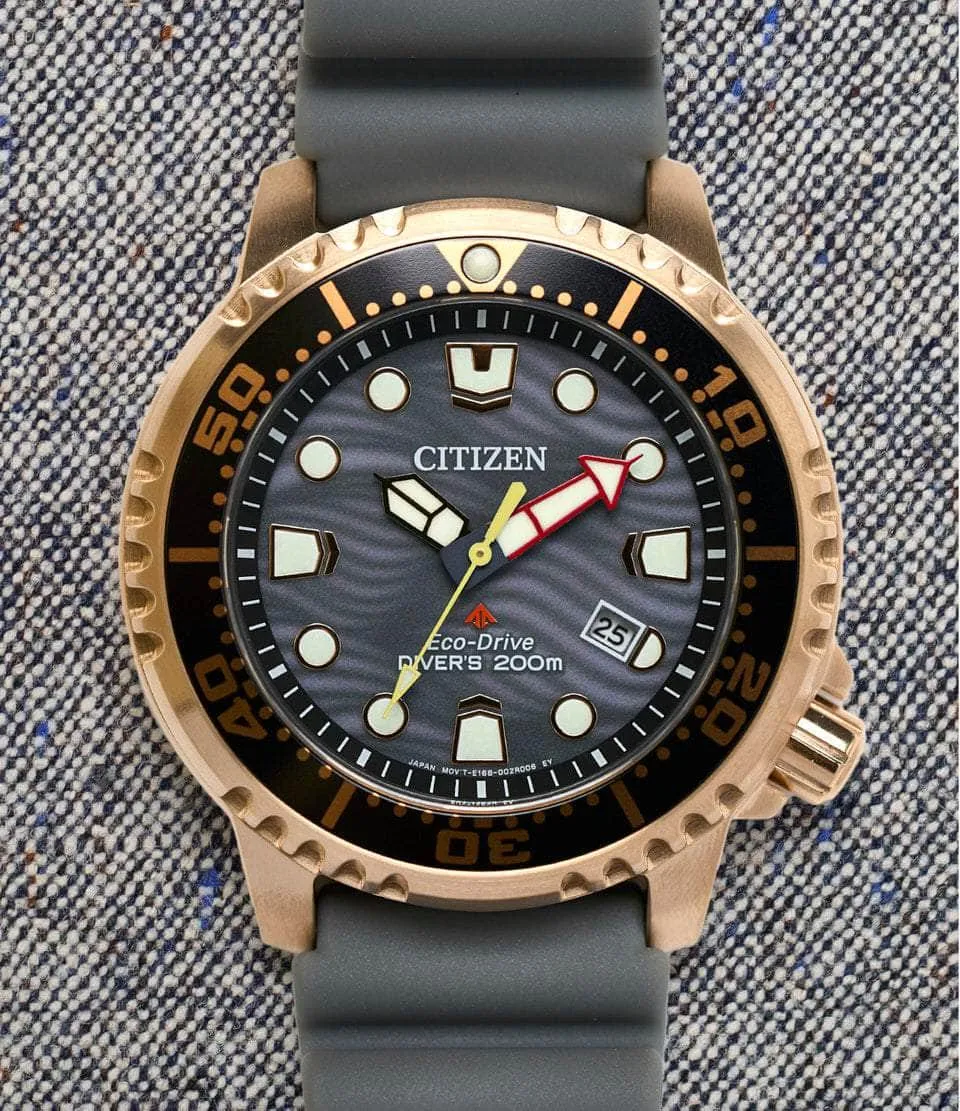 Promaster Dive Eco-Drive